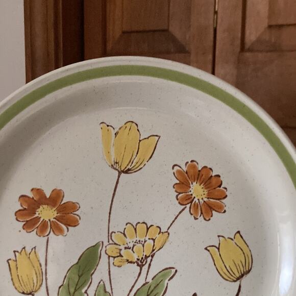 Vintage Country Casual “Sunnyvale” Dinner Plates, Set of 2 - Picture 4 of 10